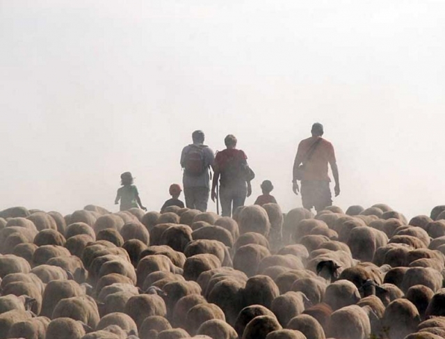 Familia haciendo de pastor